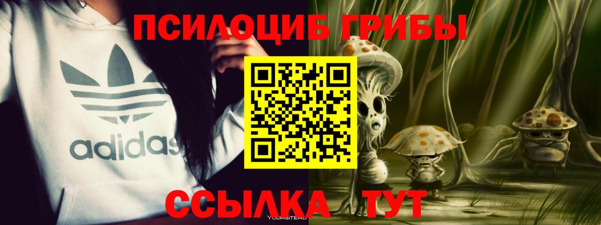Ржев  Галлюциногенные грибы мицелий  Псилоцибиновые грибы мухоморы  Вход с VPN 